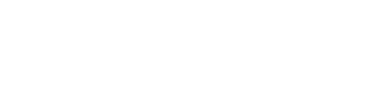Special Needs Law Group